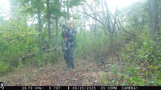 IMG_0651 (1300 x 731).jpg