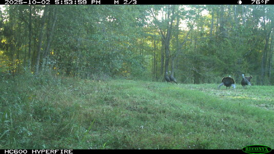 toms2-IMG_0506.JPG