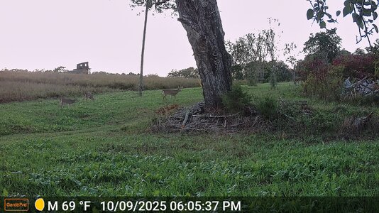 d1-DSCF0086.JPG