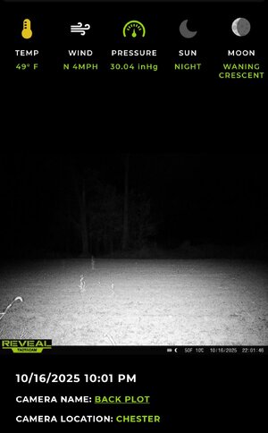 Screenshot_20251016_210918_Reveal.jpg