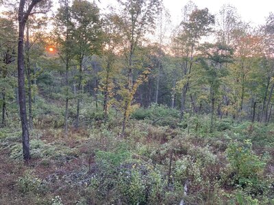 IMG_7766 (1200 x 900).jpg