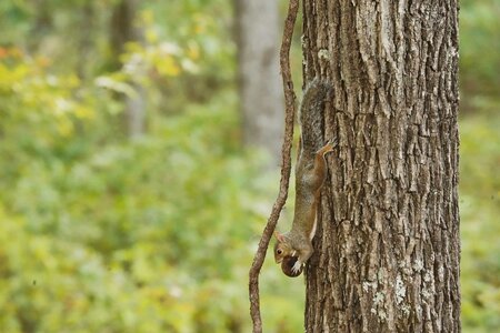 DSC08939 copy (1200 x 800).jpg