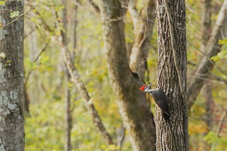 DSC08942copy (1200 x 800).jpg