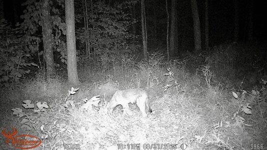 WGI_3966 (1200 x 675).jpg