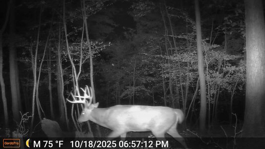 e1-DSCF0020-big10.jpg e1-DSCF0020-big10.jpg