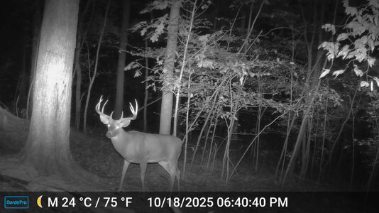 e1-DSCF0004-big9.jpg e1-DSCF0004-big9.jpg