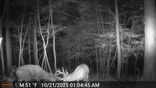 e1-DSCF0506-fight2.jpg e1-DSCF0506-fight2.jpg