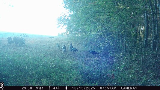 e1-IMG_0093-turk.jpg e1-IMG_0093-turk.jpg