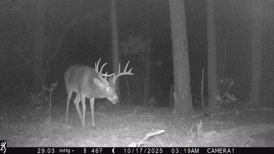 IMG_0148 (1300 x 731).jpg