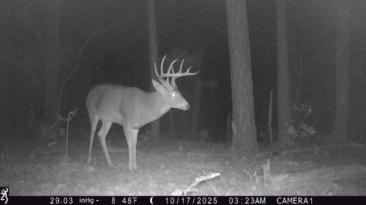 IMG_0159 (1300 x 731).jpg