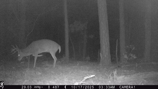 IMG_0179 (1300 x 731).jpg