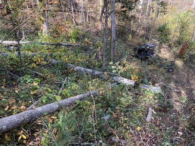 IMG_7808 (1200 x 900).jpg