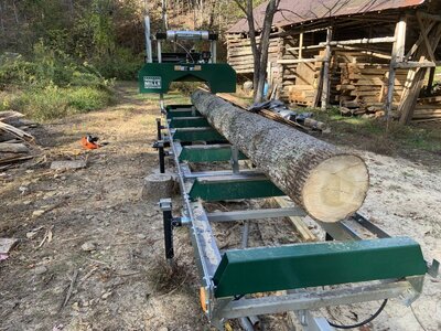 IMG_7812 (1200 x 900).jpg