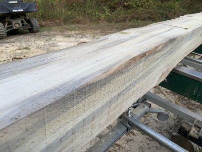 IMG_7813 (1200 x 900).jpg