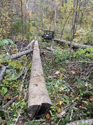 IMG_7845 (900 x 1200).jpg