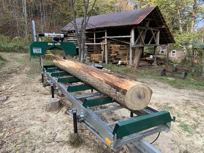 IMG_7846 (1200 x 900).jpg