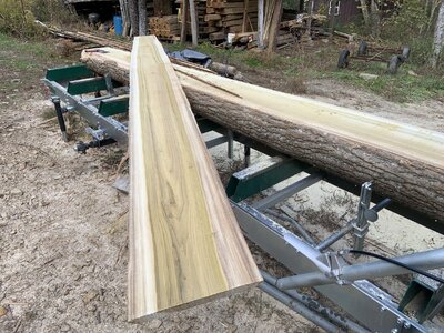 IMG_7847 (1200 x 900).jpg