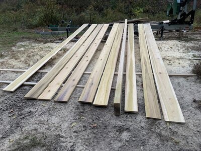 IMG_7851 (1200 x 900).jpg