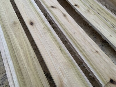 IMG_7852 (1200 x 900).jpg