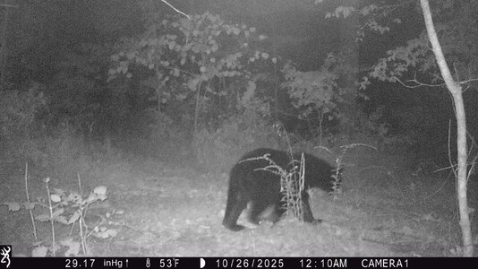 IMG_0007 (1300 x 731).jpg