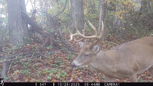 IMG_0194 (1300 x 731).jpg