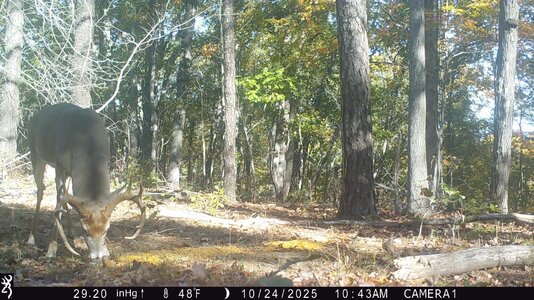 IMG_0075 (1300 x 731).jpg