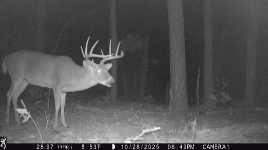 IMG_0247 (1300 x 731).jpg