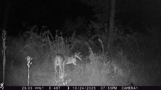 IMG_0100 (1300 x 731).jpg