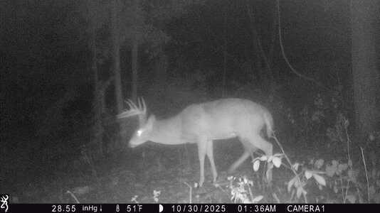 IMG_0257 (1300 x 731).jpg