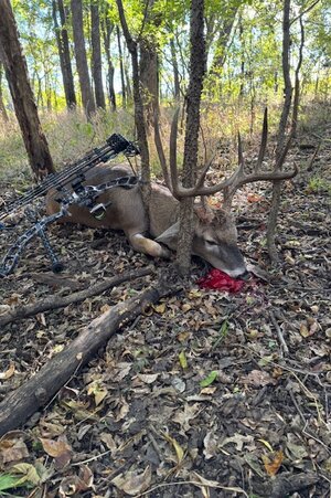 IMG_1544.jpeg IMG_1544.jpeg