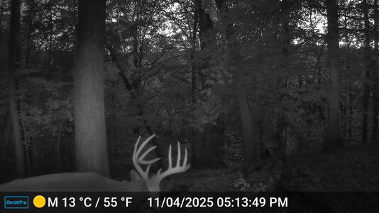 hr1-DSCF0207.jpg hr1-DSCF0207.jpg