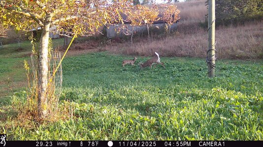 h1-IMG_0103.jpg h1-IMG_0103.jpg