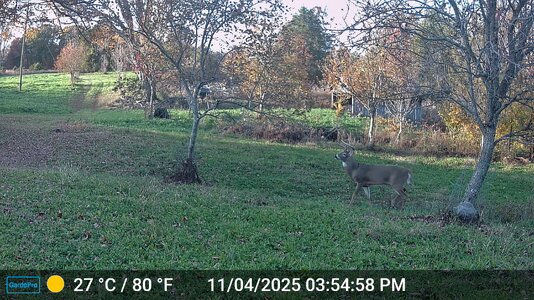 h1-DSCF0100.jpg h1-DSCF0100.jpg