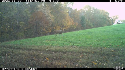 hr1-RCNX0217.jpg hr1-RCNX0217.jpg