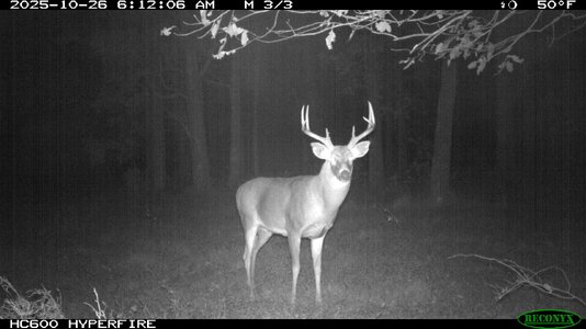 dad-IMG_0120.jpg dad-IMG_0120.jpg