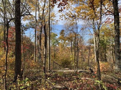 IMG_7930 (1200 x 900).jpg