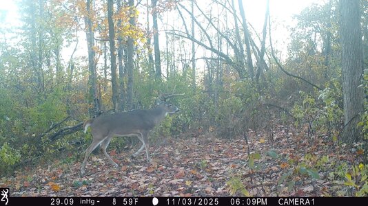 IMG_0193 (1300 x 731).jpg