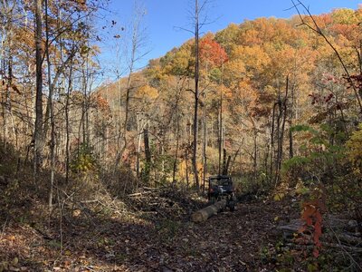 IMG_7946 (1200 x 900).jpg