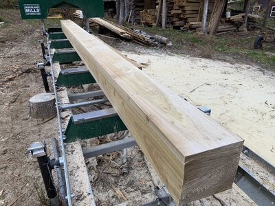 IMG_7947 (1200 x 900).jpg