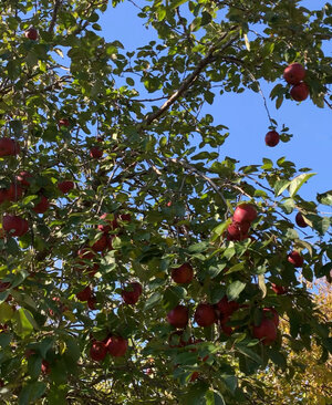 Image1762538980.571826.jpg Image1762538980.571826.jpg