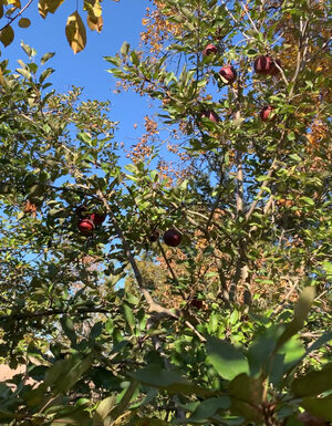 IMG_8022.JPG IMG_8022.JPG