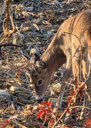 20251108_080148.jpg 20251108_080148.jpg