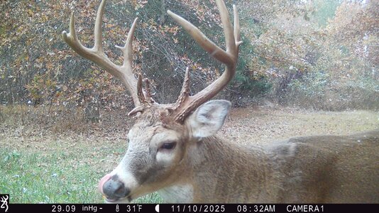 j1-IMG_0034-pet.jpeg j1-IMG_0034-pet.jpeg