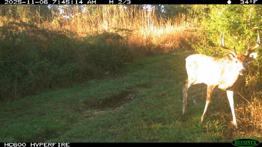 j1-MG_0026.jpeg j1-MG_0026.jpeg