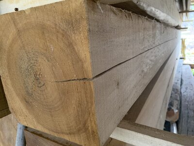 IMG_8060 (1200 x 900).jpg