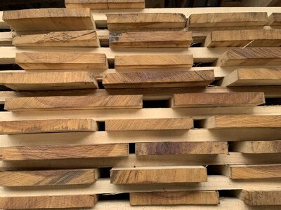 IMG_8061 (1200 x 900).jpg