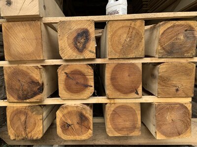 IMG_8063 (1200 x 900).jpg