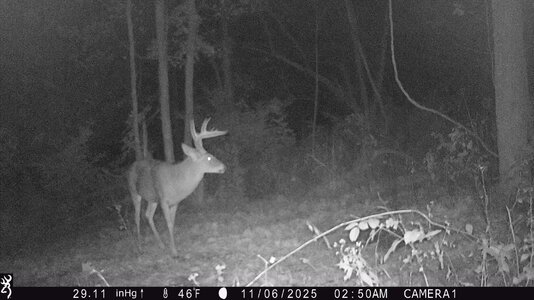 IMG_0038 (1300 x 731).jpg