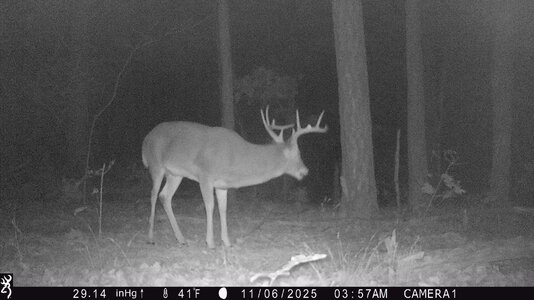 IMG_0016 (1301 x 732).jpg