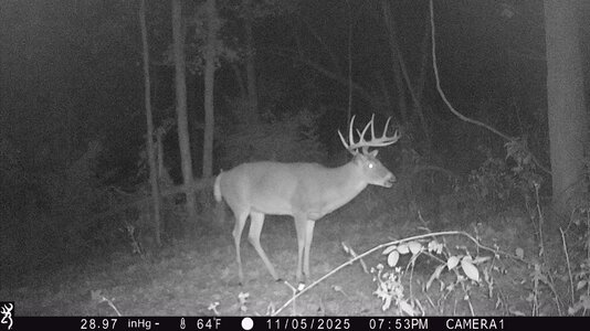 IMG_0027 (1301 x 732).jpg